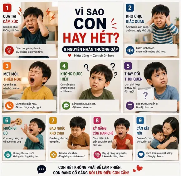 Tin tức