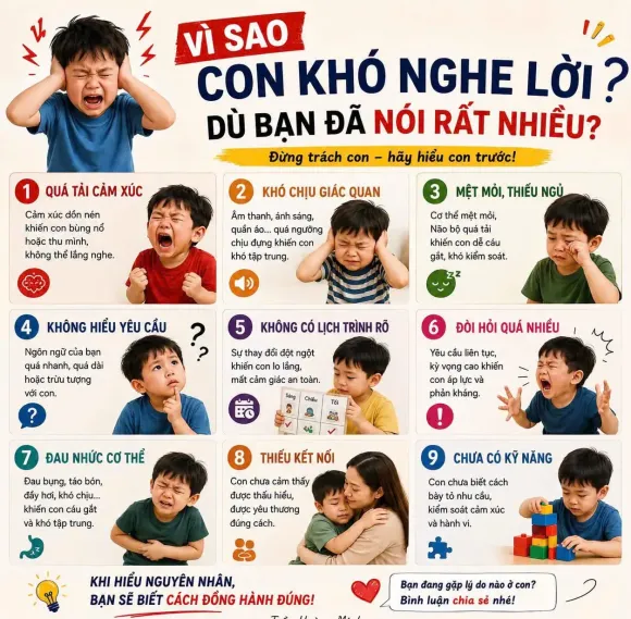 Tin tức